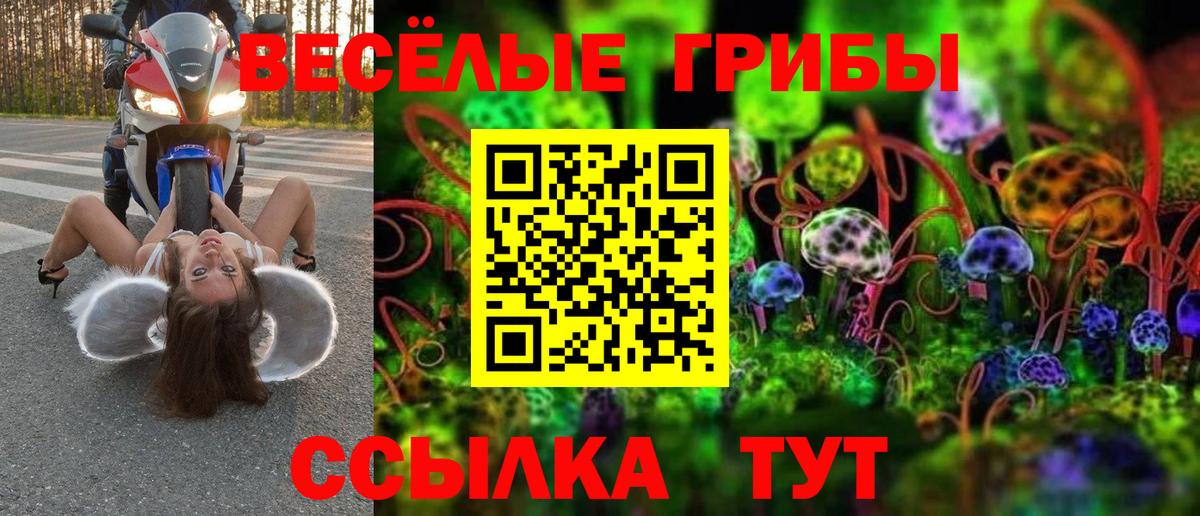 Галлюциногенные грибы ЛСД Санкт-Петербург