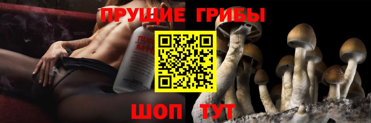 Псилоцибиновые грибы мицелий  Вход с VPN  Санкт-Петербург 